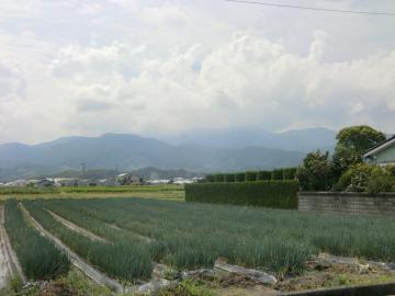 上棟しました（愛媛県　西条市　北欧住宅　ログハウス　平屋　人気）