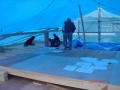 DSC04220.jpg