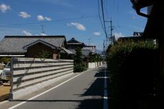 IMGP2198.jpg