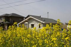 大盛況！北欧スタイル平屋モデルフィンランドログハウス完成見学会　in愛媛県東温市