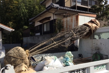 北欧住宅「フィンランドログハウス」完成見学会間近　ファイヤーサークル　 in東温市