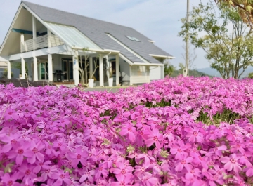 ここはかなり斬新な北欧デザイン Log House