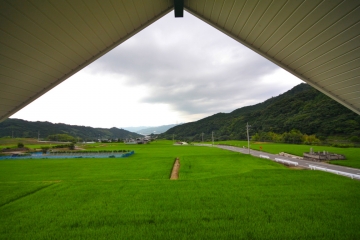 自然あふれる山里　東温市上林にフィンランドログハウスの展示場はあります。