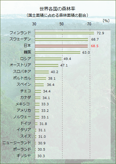 森林大国フィンランドと日本の森の違いとは お知らせ ブログ Forest Crew フォレストクルー 愛媛のログハウス 北欧住宅 Think Globally Act Locally Loghome