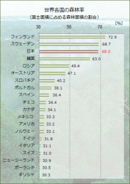 森林大国フィンランドと日本の森の違いとは？！