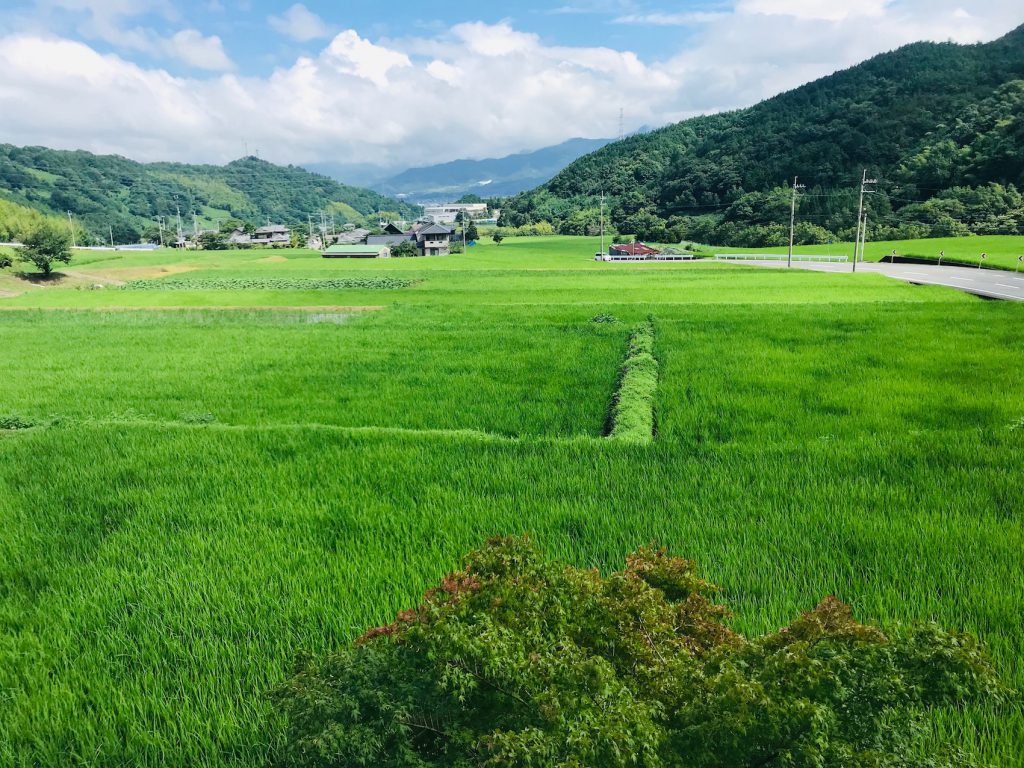 梅雨でも快適なログハウス生活　外よりも３０％も低い室内湿度